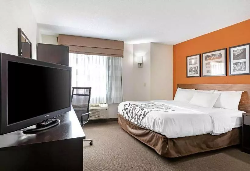 キングサイズベッドのスタンダードルーム, Sleep Inn Dewitt   Lansing North