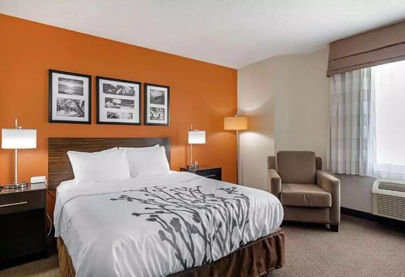 スタンダードルーム, Sleep Inn Dewitt   Lansing North