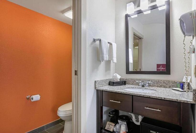 غرفة قياسية, Sleep Inn Dewitt   Lansing North