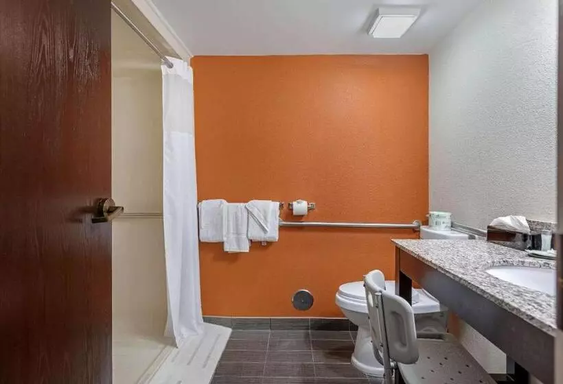 身障者適用スタンダードルーム, Sleep Inn Dewitt   Lansing North