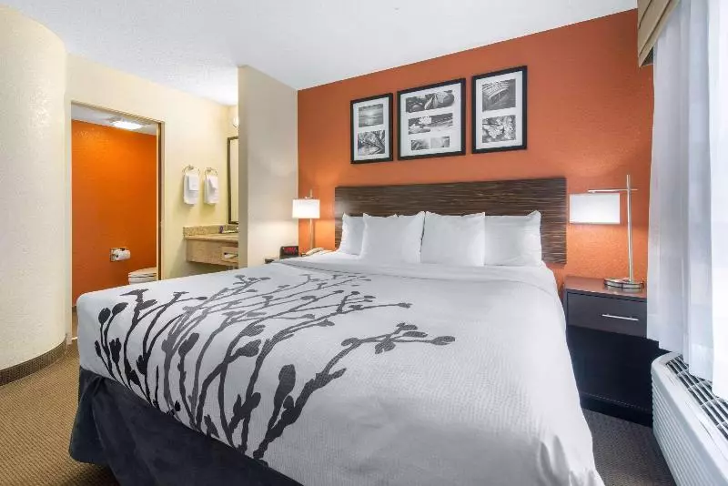 キングサイズベッドのスタンダードルーム, Sleep Inn Sarasota North