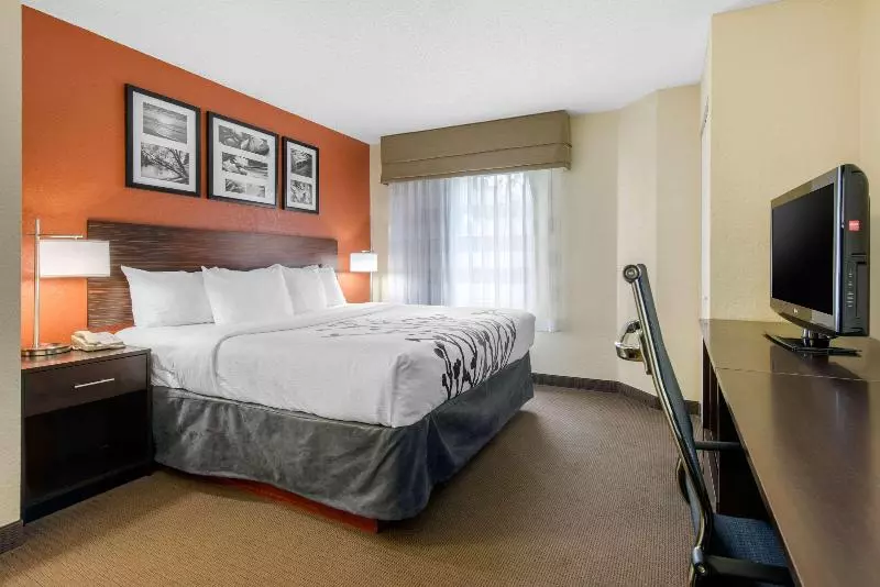 キングサイズベッドのスタンダードルーム, Sleep Inn Sarasota North