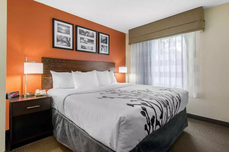 キングサイズベッドのスタンダードルーム, Sleep Inn Sarasota North
