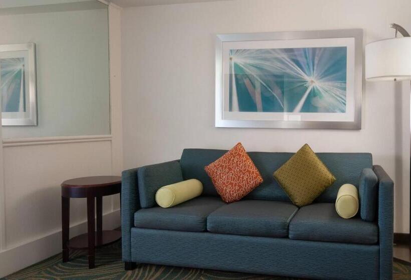带大床的套房, Springhill Suites Fort Lauderdale Airport