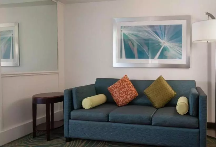 キングサイズベッドのスイートルーム, Springhill Suites Fort Lauderdale Airport