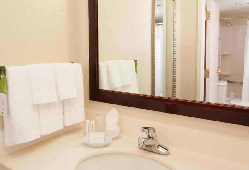 Люкс Адаптированный для Инвалидов, Springhill Suites Fort Lauderdale Airport