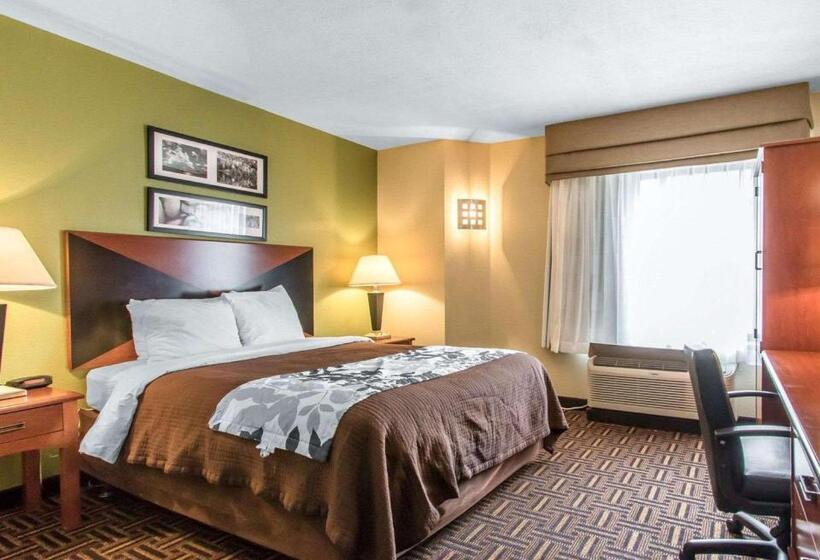 غرفة قياسية لذوى الاحتياجات الخاصة, The Douillet By Demeure Hotels