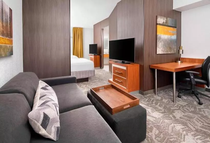 スタンダードスタジオ, Springhill Suites Scottsdale North