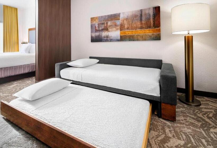 带大床的标准工作室, Springhill Suites Scottsdale North