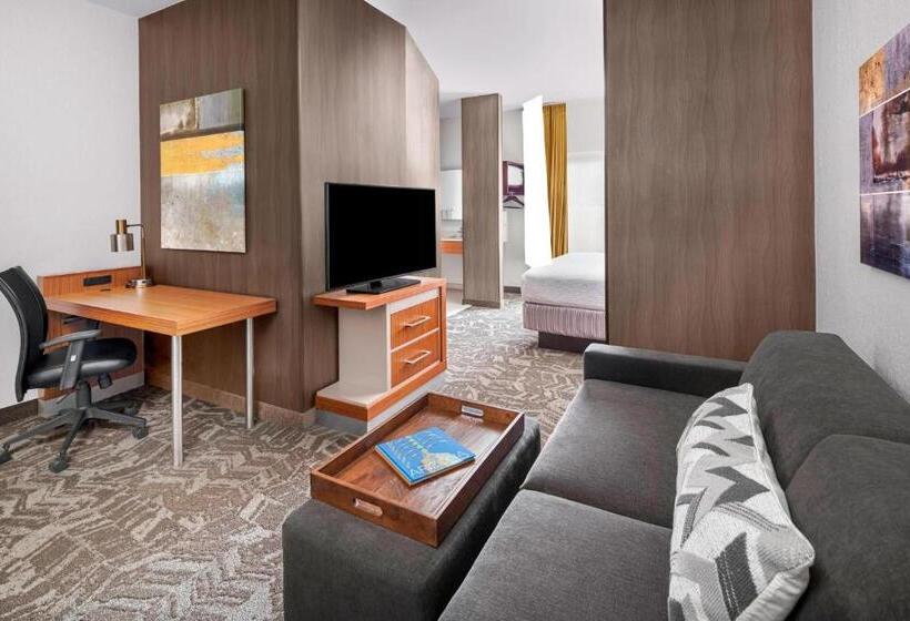 带大床的标准工作室, Springhill Suites Scottsdale North