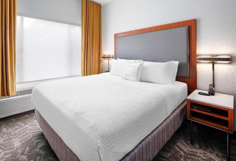 带大床的套房, Springhill Suites Scottsdale North