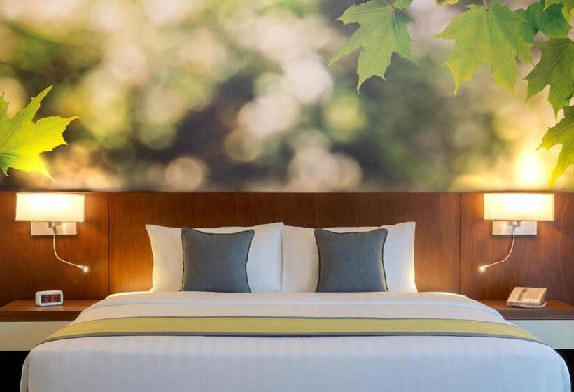 اتاق سوپریور با تخت بزرگ, Wyndham Garden Muscat Al Khuwair