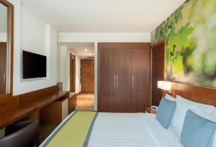 اتاق استاندارد با تخت بزرگ, Wyndham Garden Muscat Al Khuwair