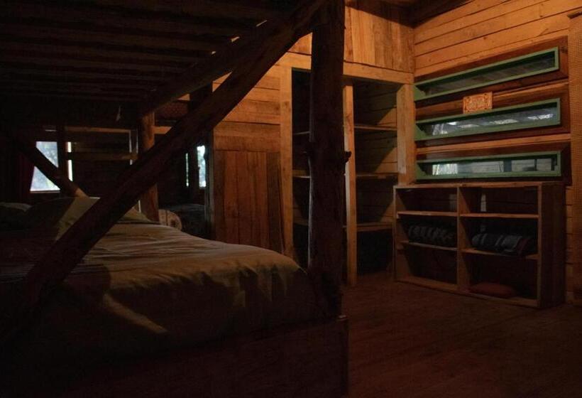 Bed in een Gedeelde Kamer, Casa Atipika