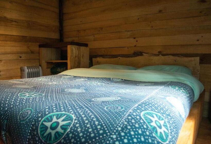 Номер Стандарт, Casa Atipika