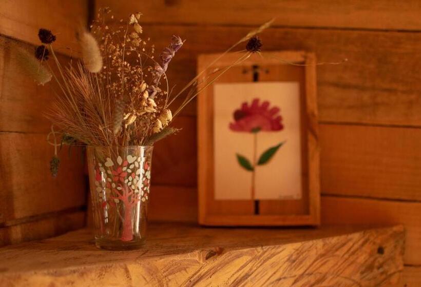 StandaardKamer, Casa Atipika