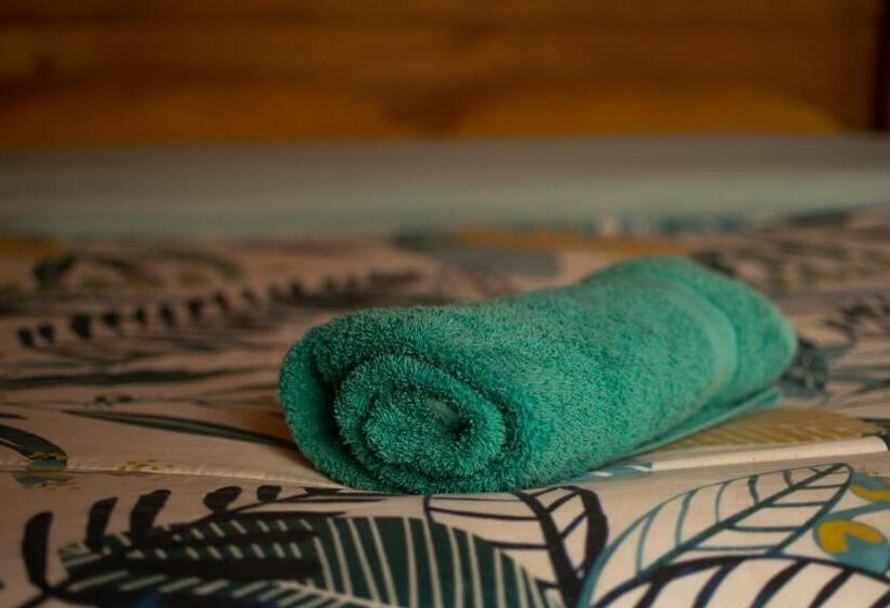 StandaardKamer, Casa Atipika