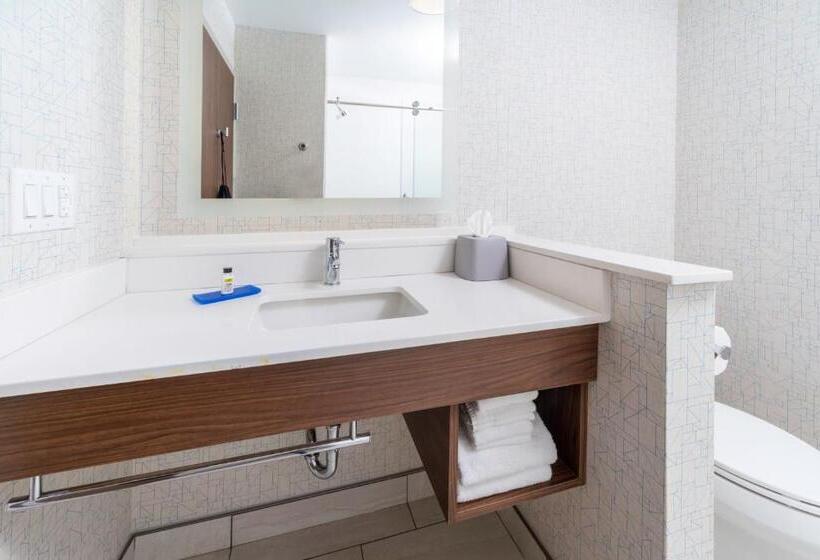 이그제큐티브 룸 킹사이즈 침대, Holiday Inn Express   Brevard, An Ihg