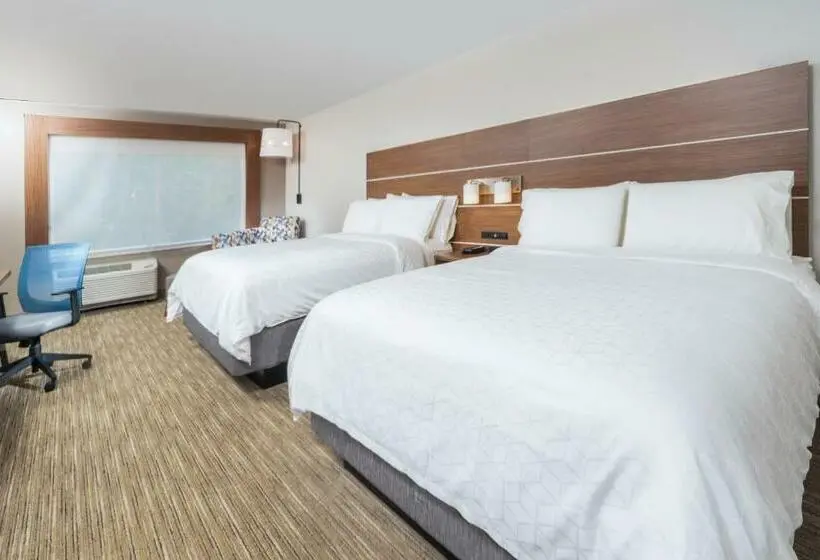 身障者適用スタンダードルーム, Holiday Inn Express   Brevard, An Ihg