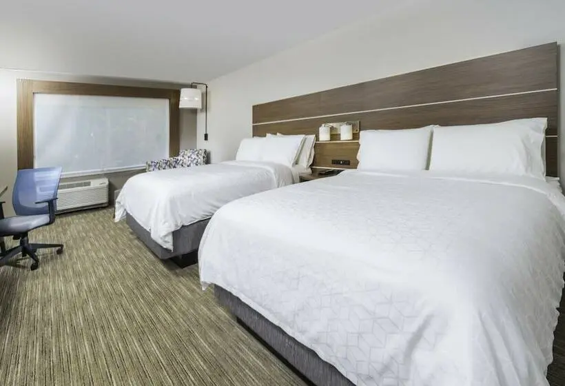 身障者適用スタンダードルーム, Holiday Inn Express   Brevard, An Ihg