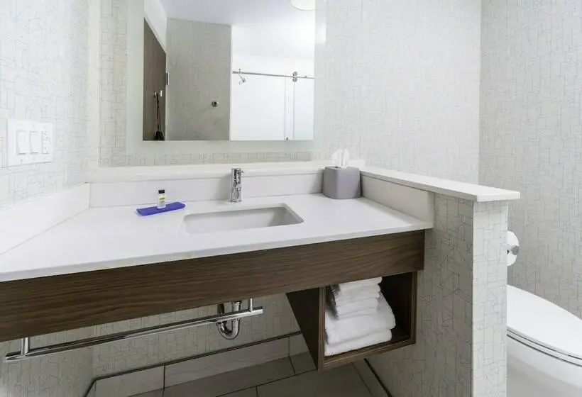 身障者適用スタンダードルーム, Holiday Inn Express   Brevard, An Ihg