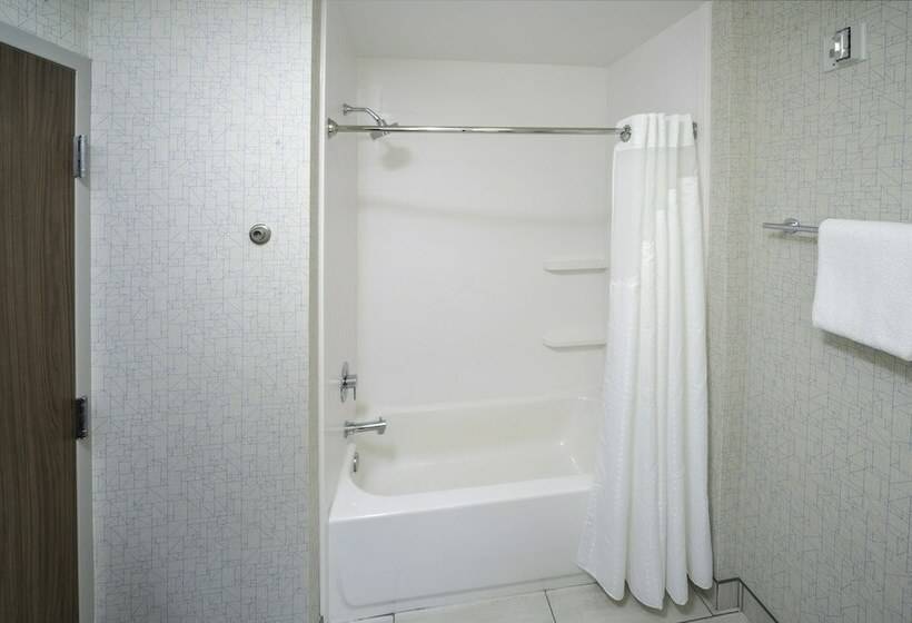 장애인을 위한 스탠다드 룸, Holiday Inn Express   Brevard, An Ihg