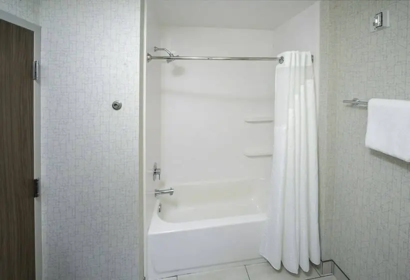 身障者適用スタンダードルーム, Holiday Inn Express   Brevard, An Ihg