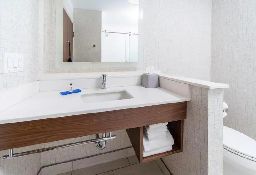 身障者適用キングサイズベッドルーム, Holiday Inn Express   Brevard, An Ihg