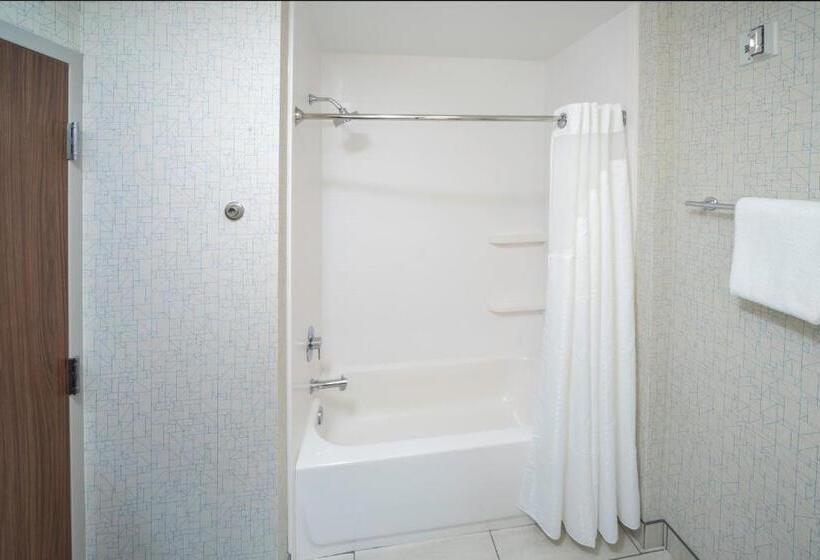 장애인을 위한 스탠다드 룸, Holiday Inn Express   Brevard, An Ihg