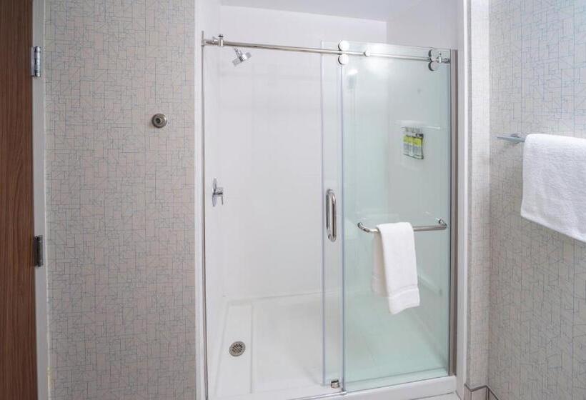 장애인을 위한 스위트, Holiday Inn Express   Brevard, An Ihg