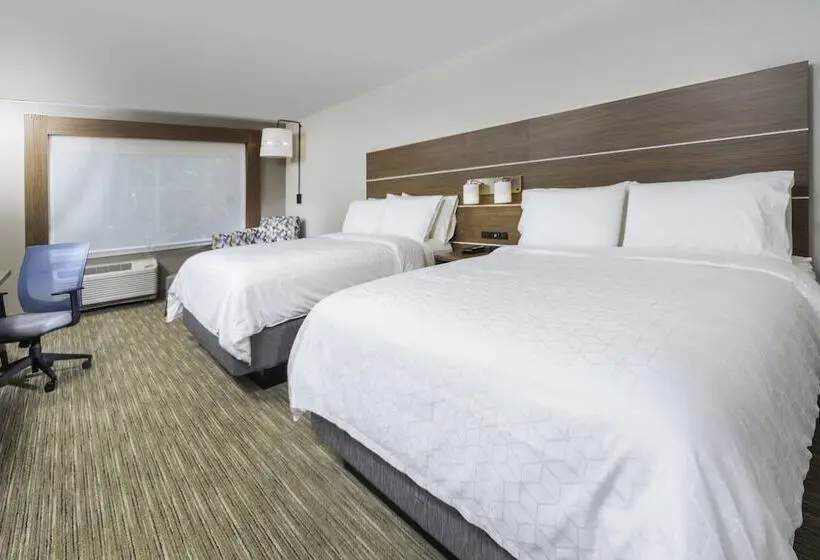 スイート, Holiday Inn Express   Brevard, An Ihg
