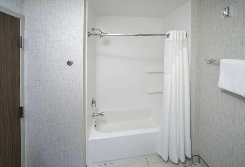 スイート, Holiday Inn Express   Brevard, An Ihg