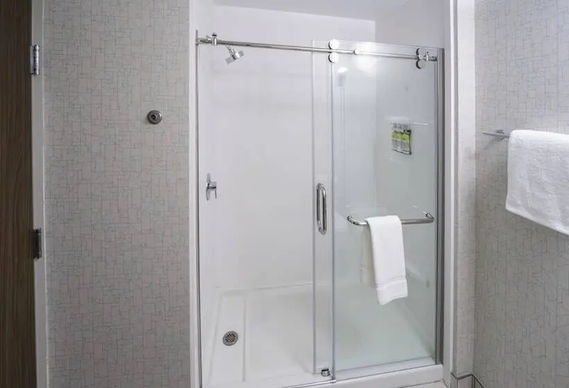身障者適用スイートルーム, Holiday Inn Express   Brevard, An Ihg