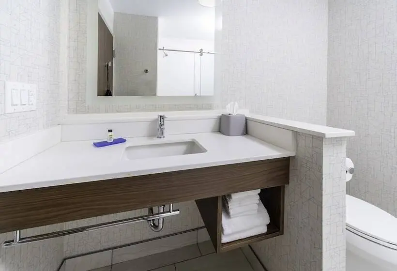 身障者適用スイートルーム, Holiday Inn Express   Brevard, An Ihg