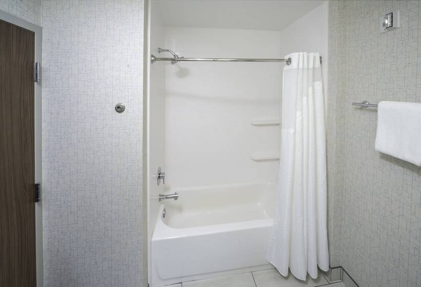 جناح لذوى الاحتياجات الخاصة, Holiday Inn Express   Brevard, An Ihg