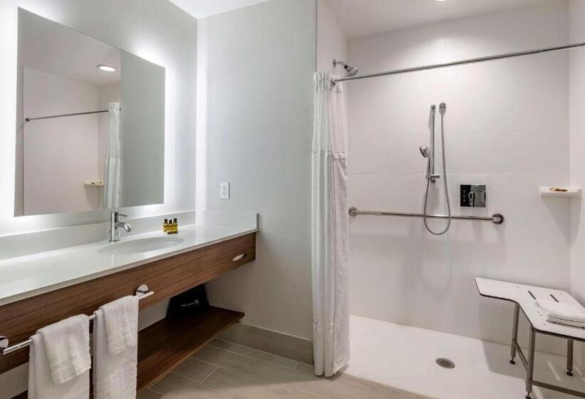 장애인을 위한 킹사이즈 침대 스탠다드 룸, Best Western Plus Desert View Inn & Suites