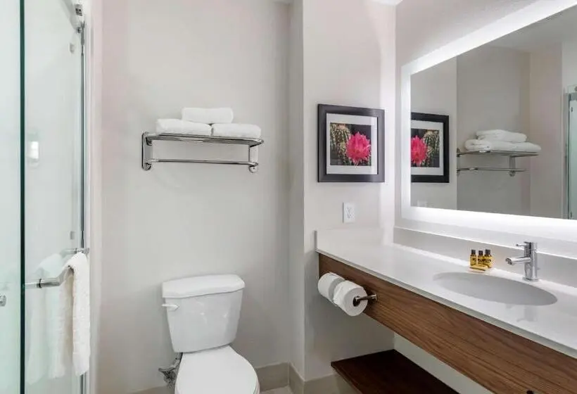キングサイズベッドのスタンダードルーム, Best Western Plus Desert View Inn & Suites