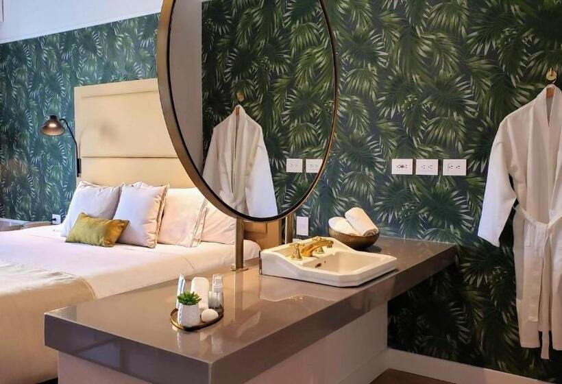 اتاق استاندارد با تخت بزرگ, Faranda Collection Barranquilla, A Member Of Radisson Individuals