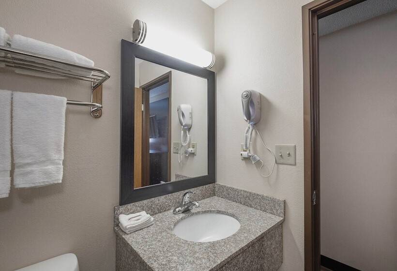 غرفة سوبيريور, Red Roof Inn Bristol