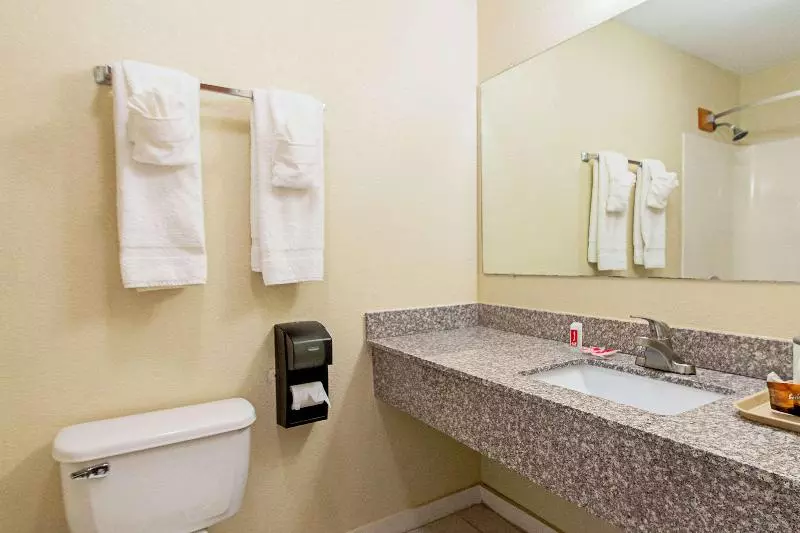 キングサイズベッドのスタンダードルーム, Econo Lodge