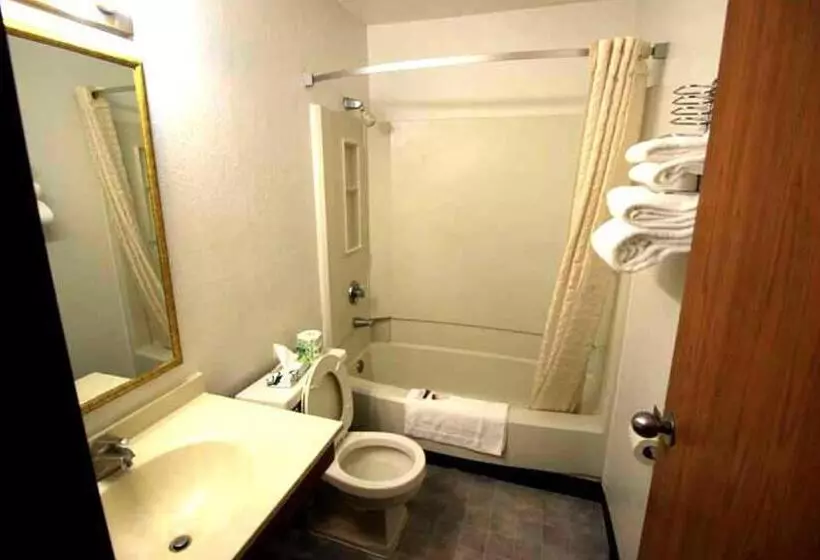 身障者適用スタンダードルーム, Norwood Inn Minneapolis Roseville