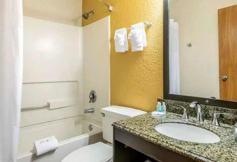 キングサイズベッドのスタンダードルーム, Quality Inn & Suites Leesburg Chain Of Lakes