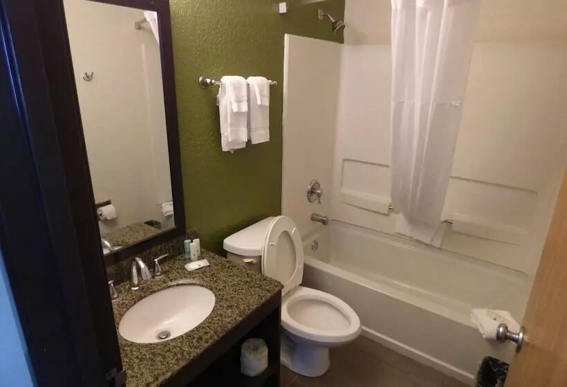 キングサイズベッドのスタンダードルーム, Quality Inn & Suites Leesburg Chain Of Lakes