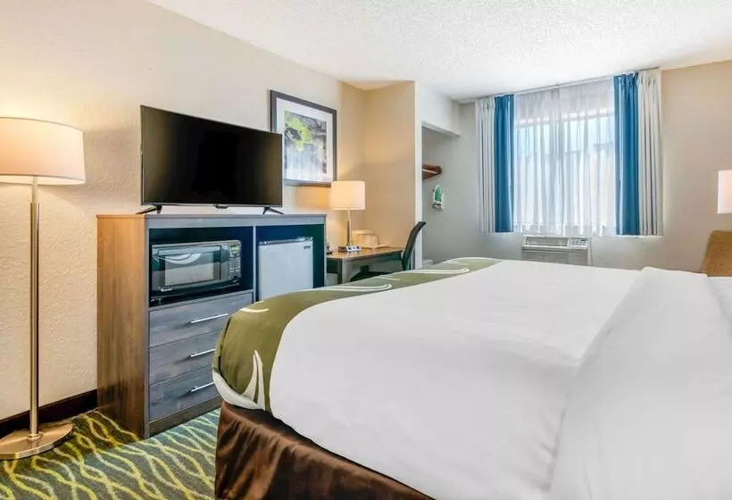 キングサイズベッドのスタンダードルーム, Quality Inn & Suites Leesburg Chain Of Lakes