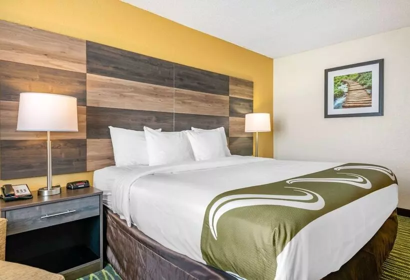 キングサイズベッドのスタンダードルーム, Quality Inn & Suites Leesburg Chain Of Lakes