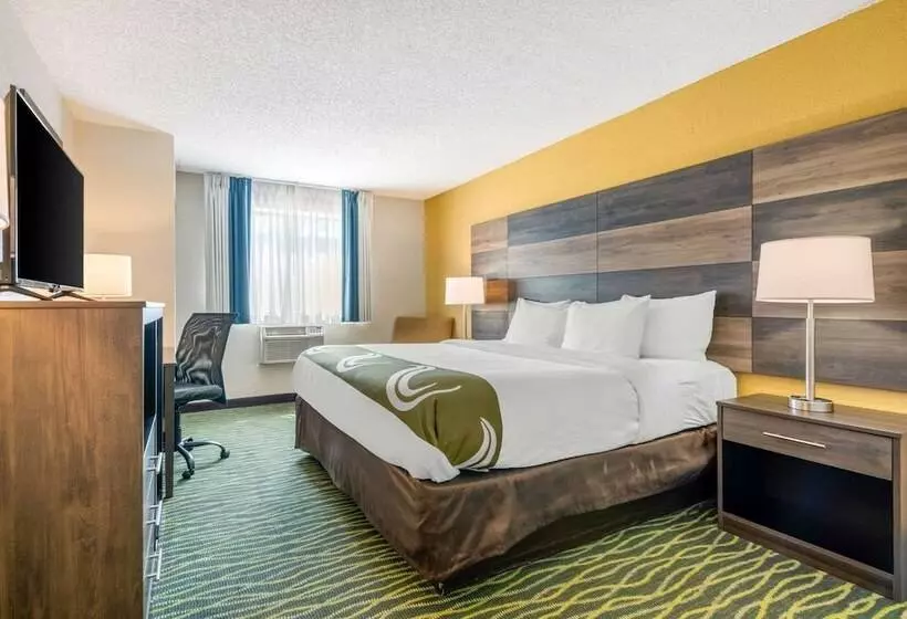 キングサイズベッドのスタンダードルーム, Quality Inn & Suites Leesburg Chain Of Lakes