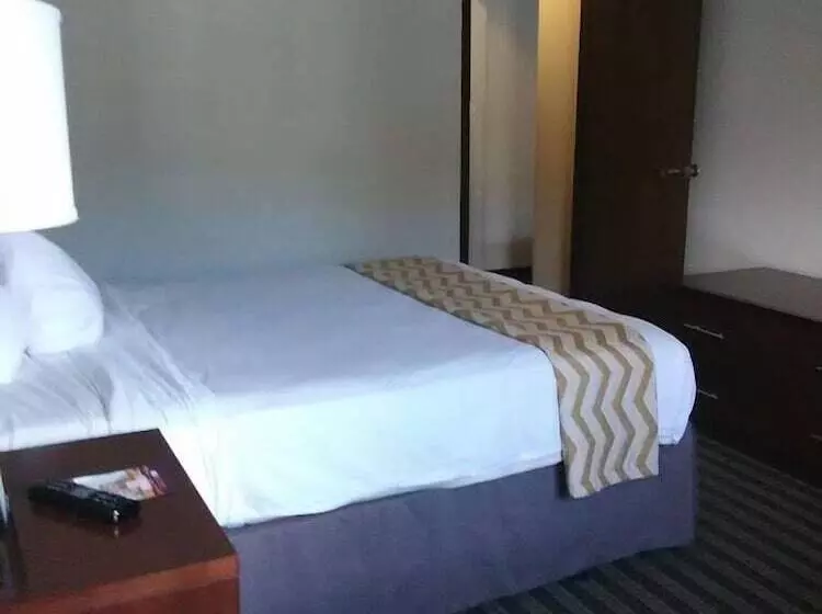 スタンダードスタジオ, Travelodge By Wyndham Loveland/fort Collins Area