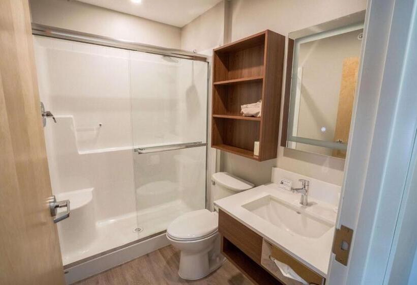 キングサイズベッドのスタンダードルーム, Park Inn By Radisson, Kelowna