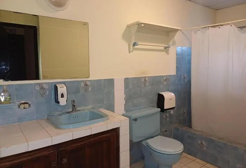 Camera Economy, Bluerock Hostal