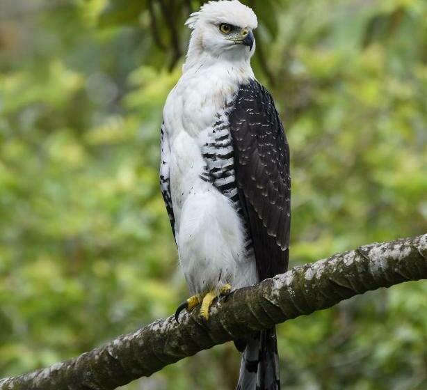 침실 1개 주택, Granja Los Campesinos